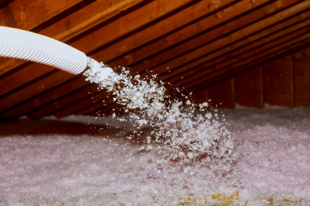 Best DIY Insulation Kits and Guidance in Lake Junaluska, NC